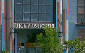 Lucky D'S Youth And Traveler'S Hostel